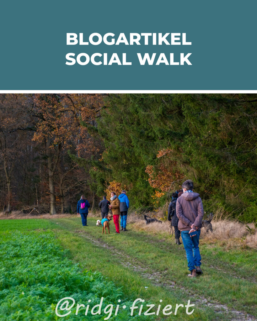 Der „Social Walk“ für entspannte Hundebegegnungen